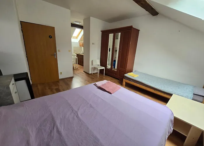 Apartament Zizkov A Praga
