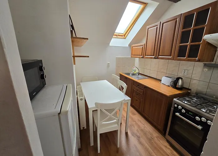 Apartament Zizkov A